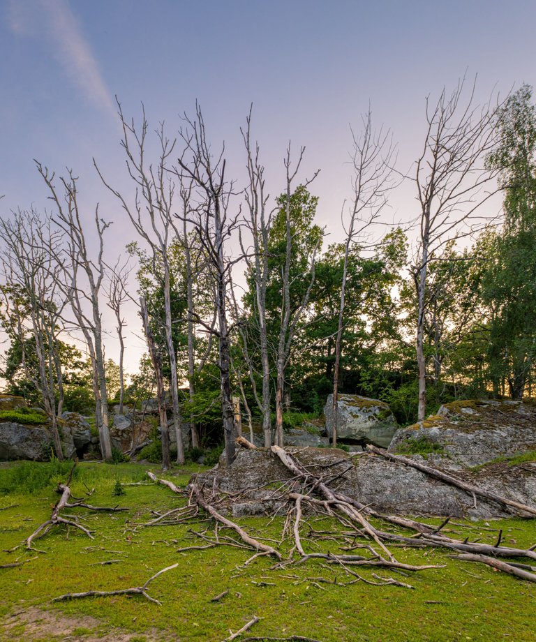 20250629-_MG_1030-Panorama HDR.jpg