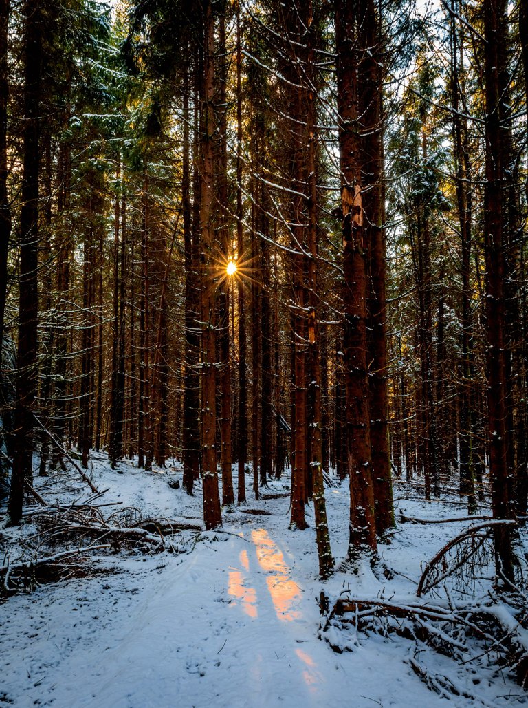 _MG_4234n.jpg