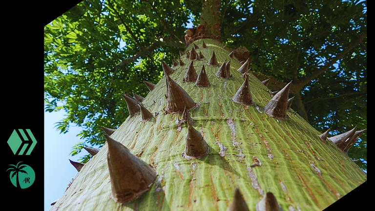 Moments I captured with my camera during my visit to the botanical garden of.png