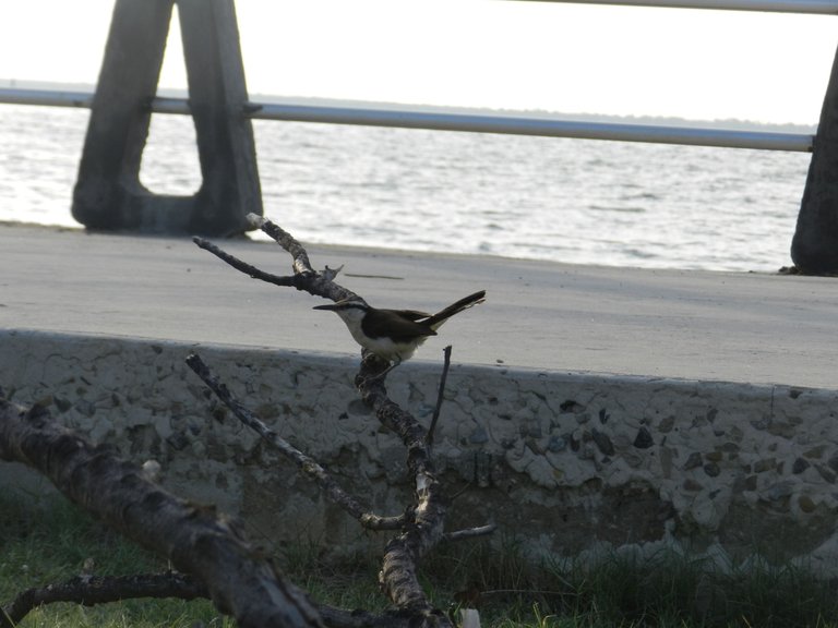 DSCN3964.JPG