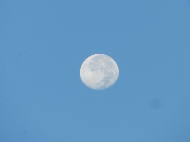 DSCN4429.JPG