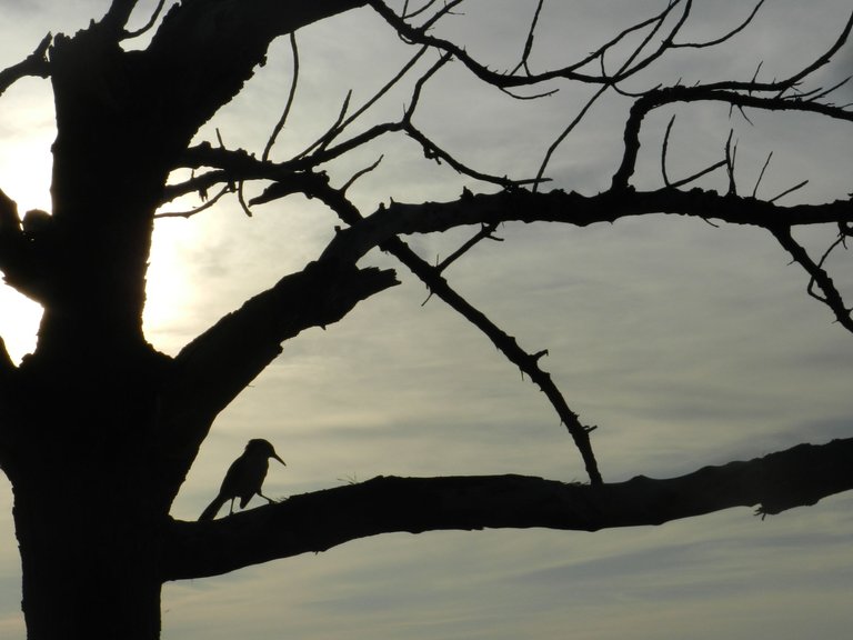 DSCN3961.JPG
