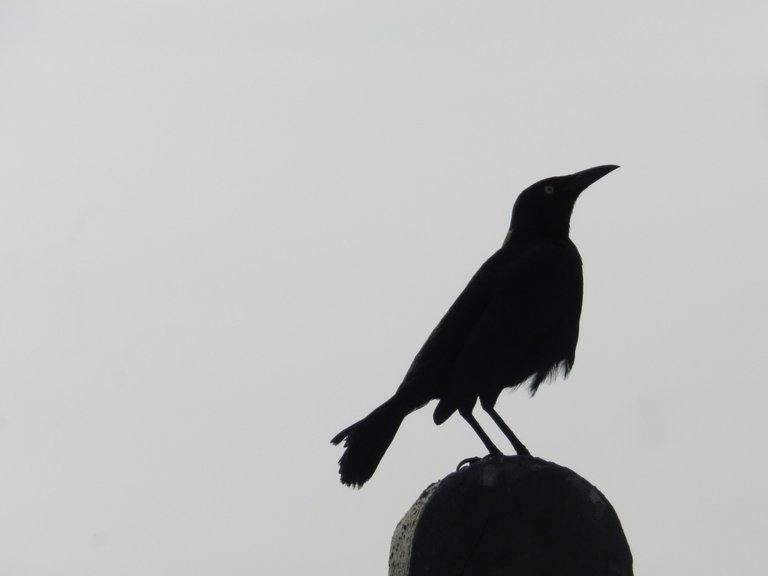 DSCN4060.JPG