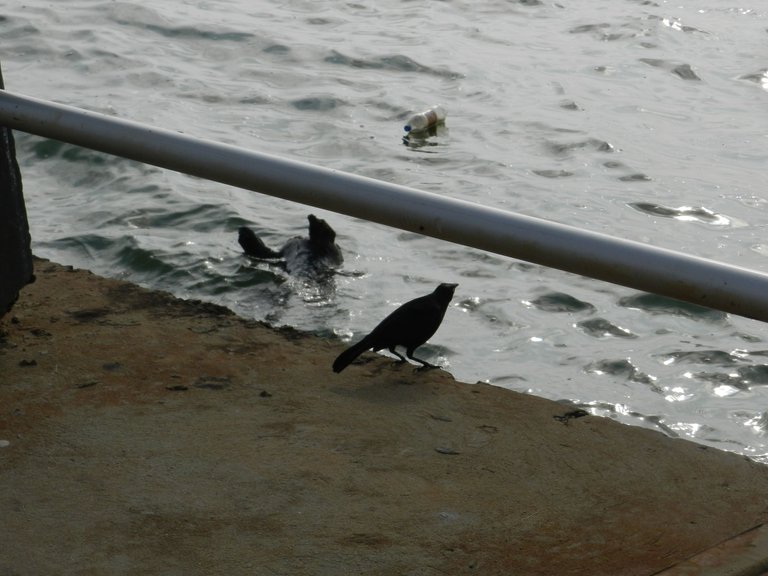 DSCN4126.JPG