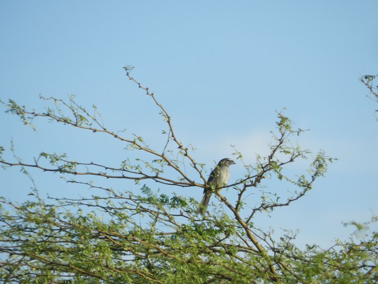 DSCN4008.JPG