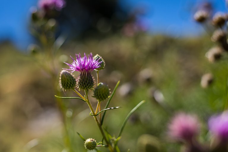 IMG_8404.jpg