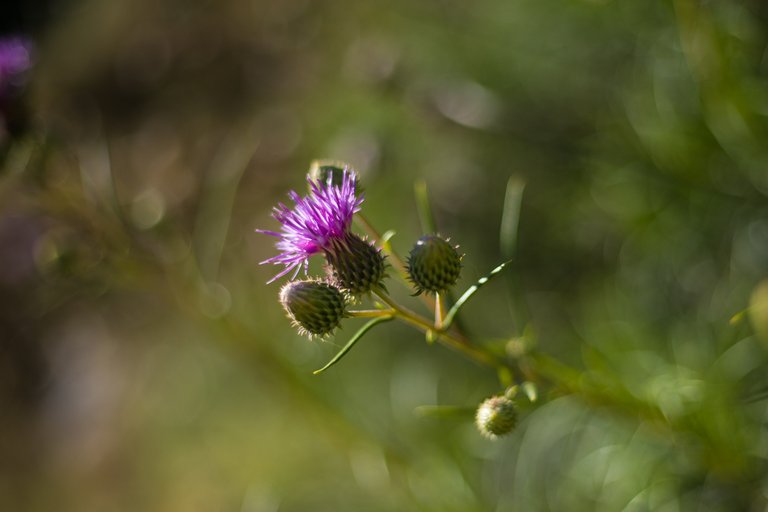 IMG_8414.jpg