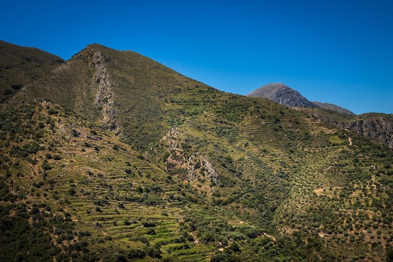 IMG_8387.jpg