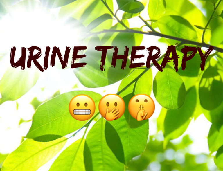 Urine Therapy - Sun Rays Through Tree Branches