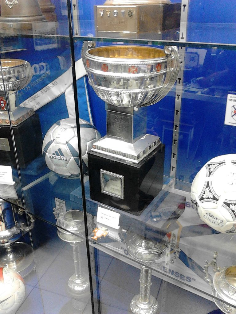 Different_view_of_the_Primeira_Divisão_trophy_at_Museu_Manuel_Bulhosa.jpg