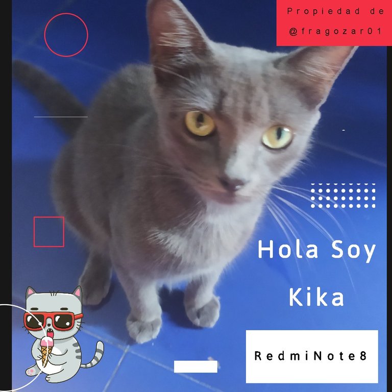 SoyKika.jpg