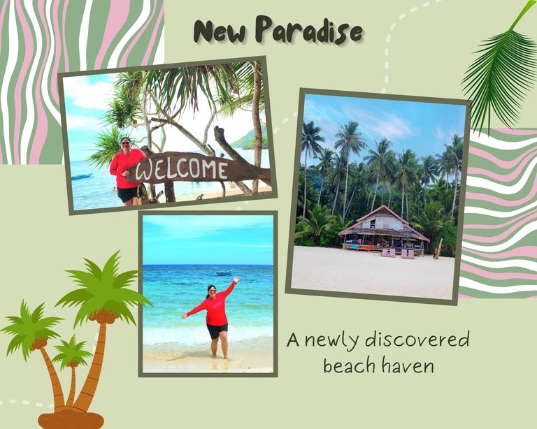 New Paradise (2).jpg