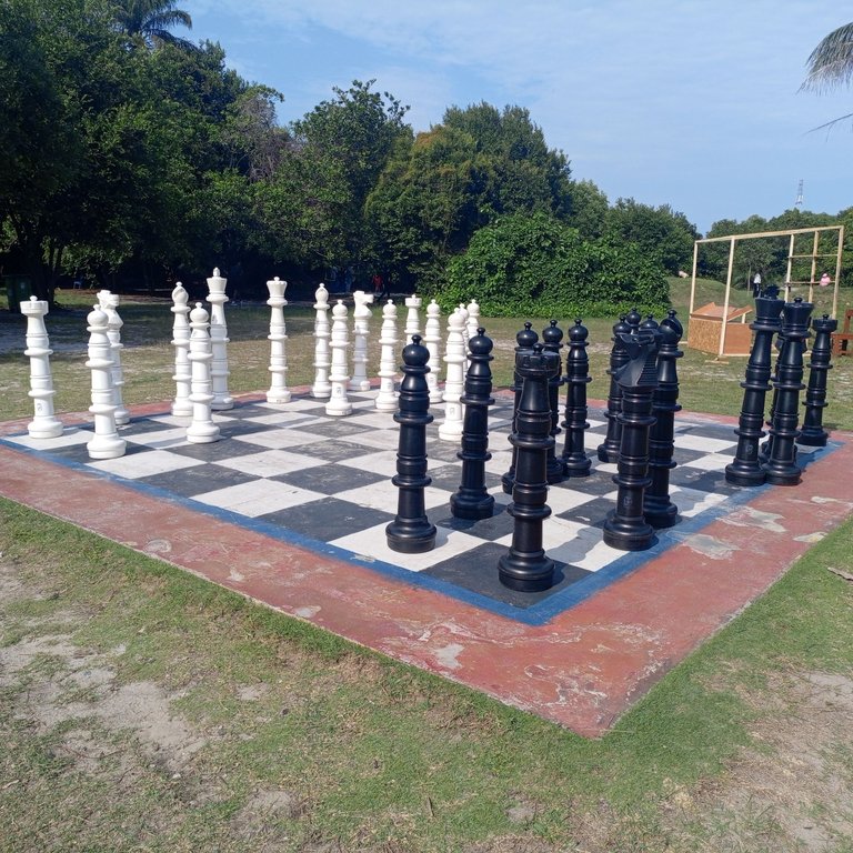 1000542478.jpg