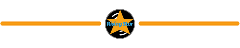 Rising Star Divider.jpg
