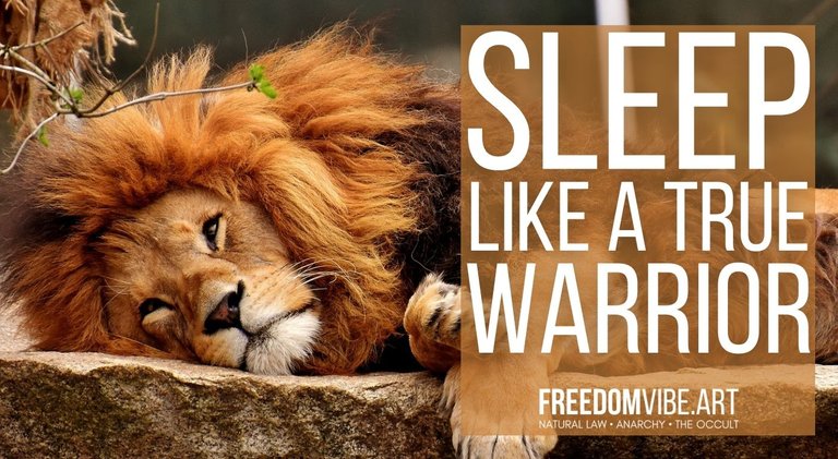 Sleep Like a True Warrior - 8 Strategies That Always Work.jpg