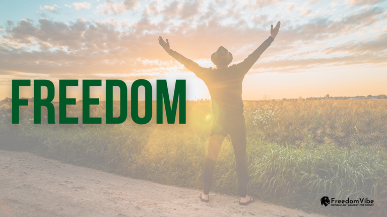 FVA - Blog - How True Freedom is Generated.png