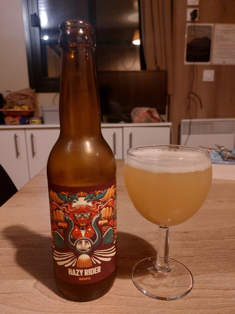 Review of some French 'artisanal' beers during my holiday in France!