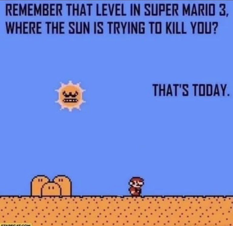 1000086674.jpg