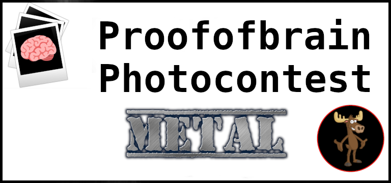 pobphoto-metal.png