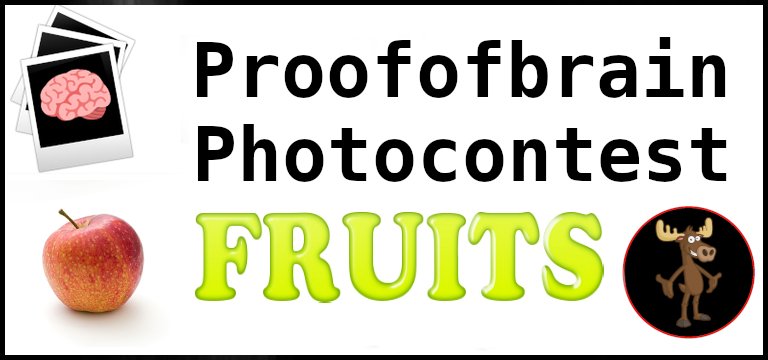 POBphotocontest New Round: FRUITS