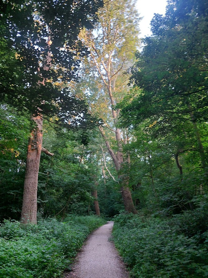A wednesdaywalk walk in the green