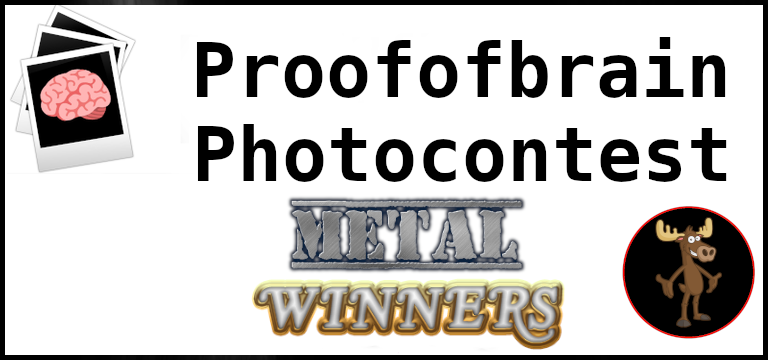 pobphoto-metal_winners.png