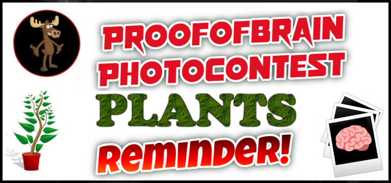 POBphotocontest Reminder: PLANTS