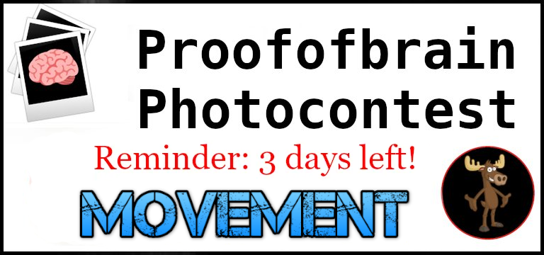 POBphotocontest Reminder: MOVEMENT