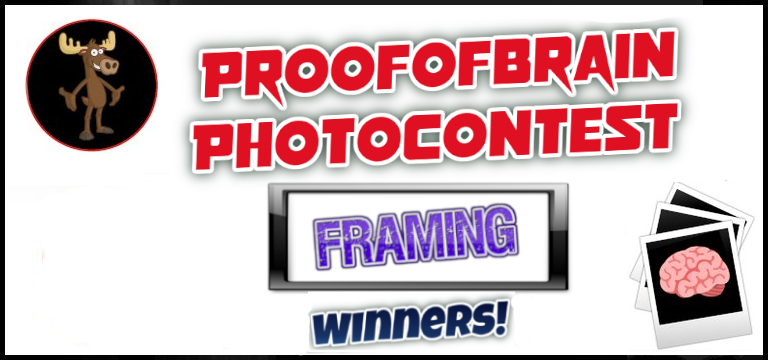 POBphotocontest Winners: FRAMING