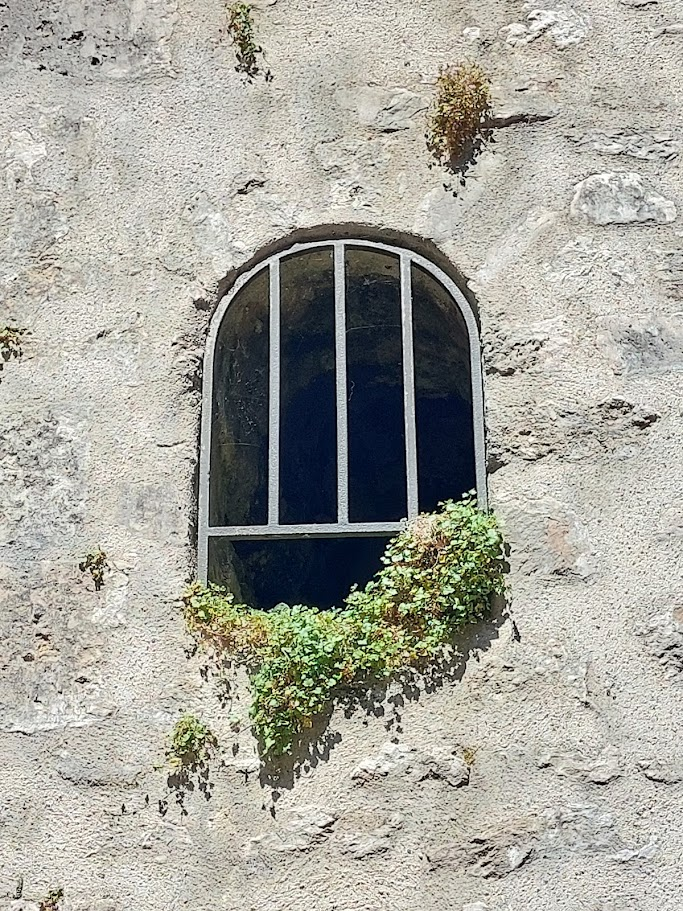 window.png