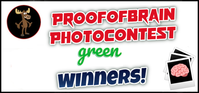 POBphotocontest Winners: GREEN