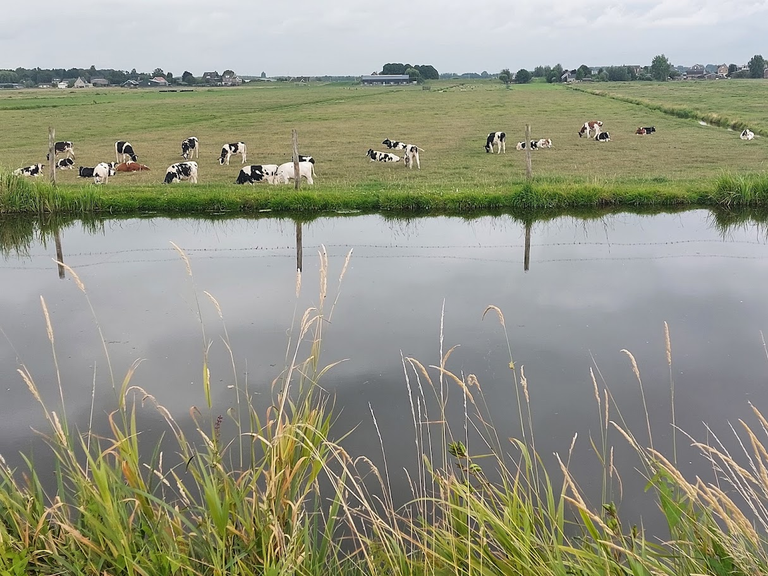 polder.png