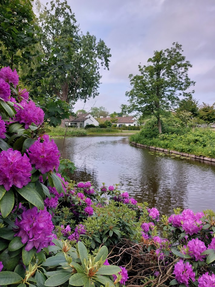A wednesdaywalk through some local parks