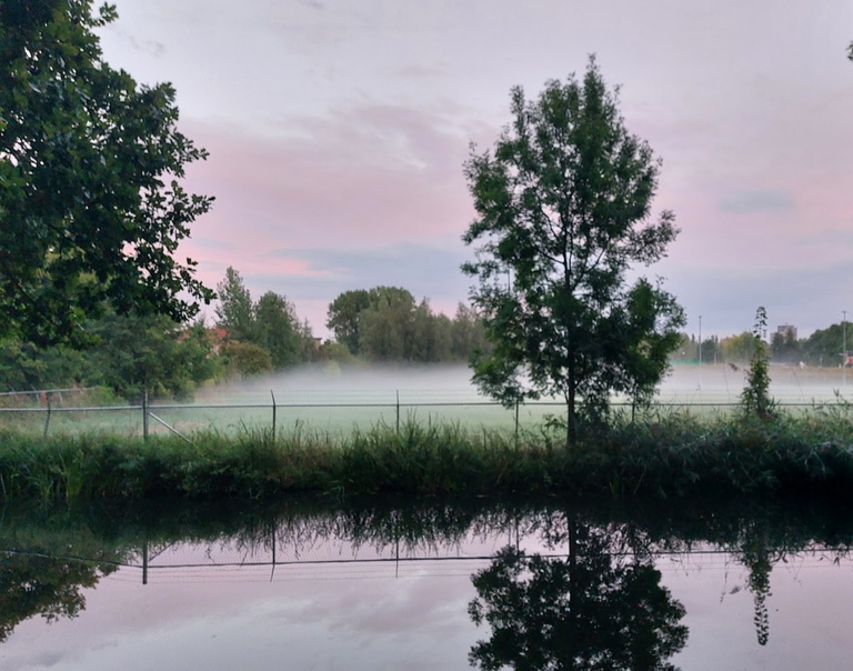 mist.png