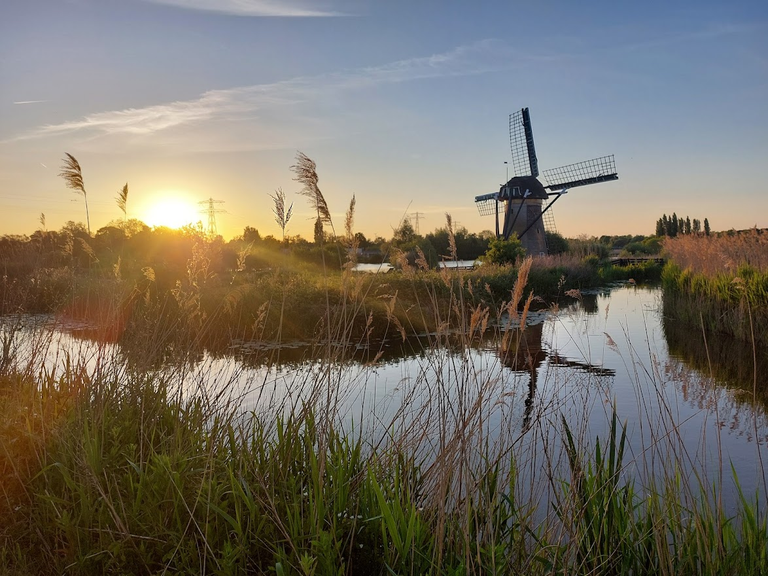 windmill.png
