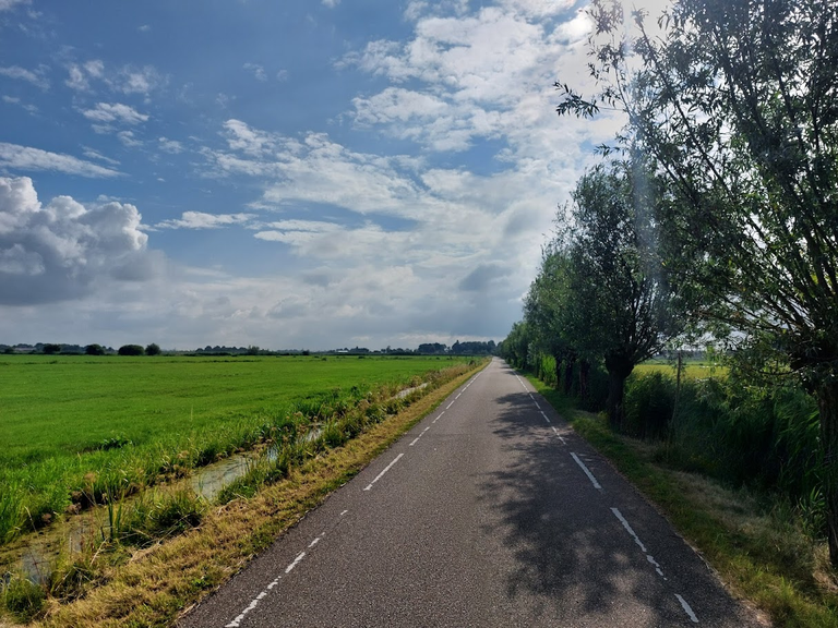 road.png