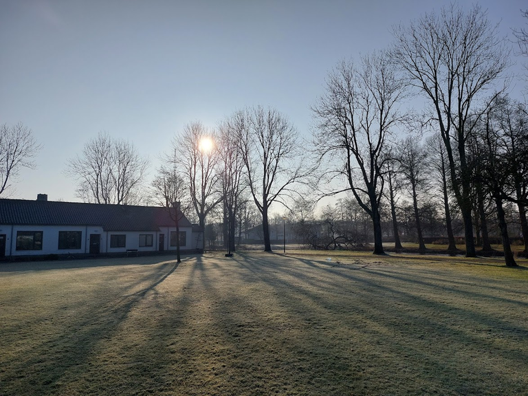 Pictures of a cold walk in the park