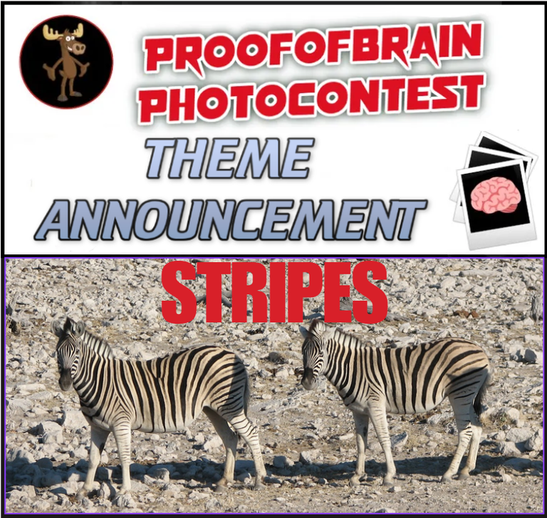 POBphotocontest New Round: STRIPES