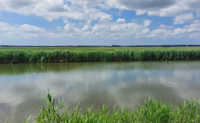 polder.png