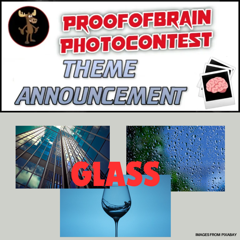 POBphotocontest New Round: GLASS