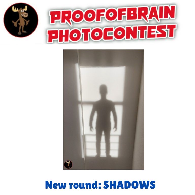 POBphotocontest New Round: SHADOWS