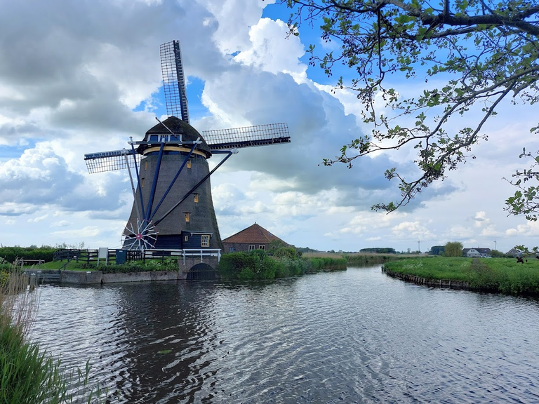 molen.png