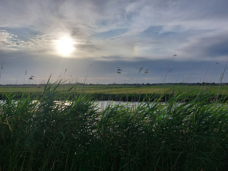 polder.png
