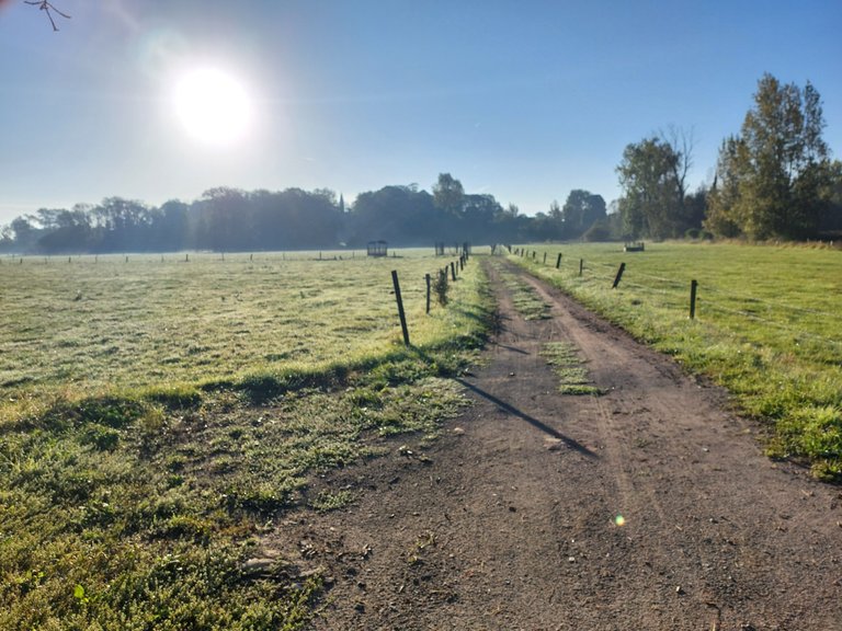 Wednesdaywalk in the countryside of Schelderode, Belgium 