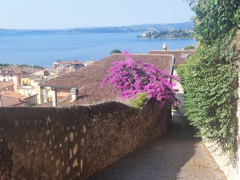 Bicycle ride along the west coast of lake Garda