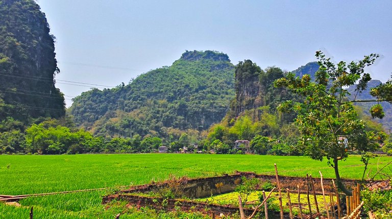 17 - Mai Chau.jpg