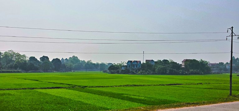 10 - Mai Chau.jpg