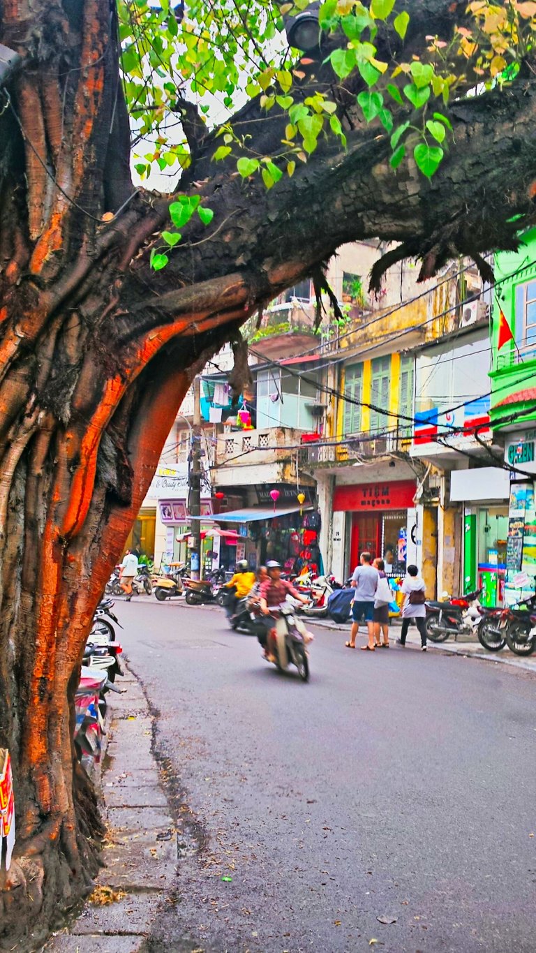 09 - Hanoi.jpg