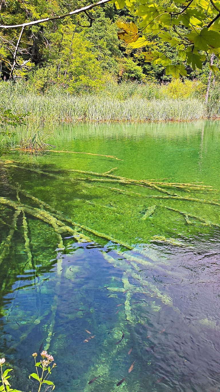 74 - Plitvice Lakes.jpg