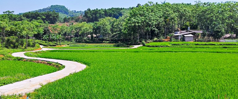 04 - Mai Chau.jpg